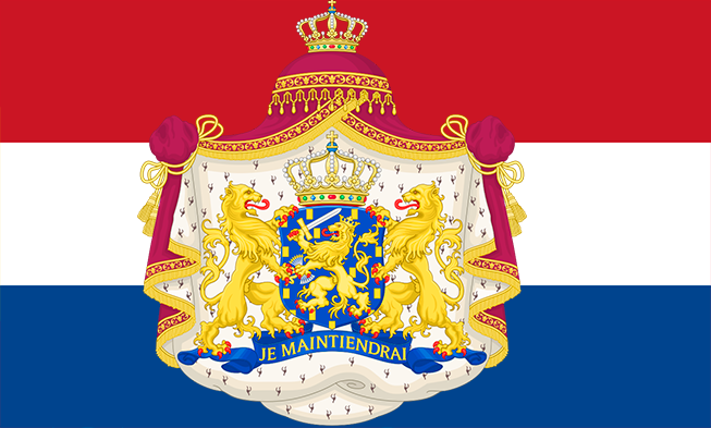 Niderlandskiye portaly i sayty sotsial'nykh setey